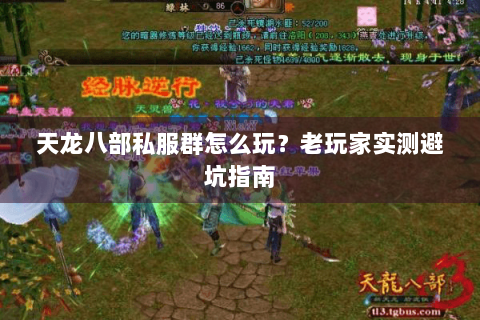 天龙八部私服群怎么玩?老玩家实测避坑指南 天龙八部私服群怎么玩?老玩家实测避坑指南