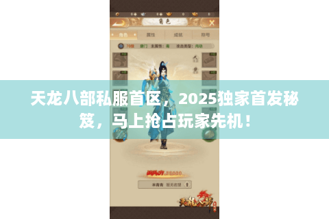 天龙八部私服首区，2025独家首发秘笈，马上抢占玩家先机！