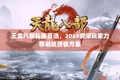 天龙八部私服首选，2025资深玩家力荐避坑终极方案