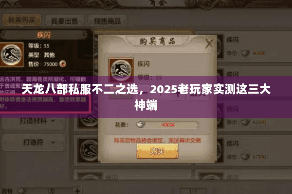 天龙八部私服不二之选，2025老玩家实测这三大神端