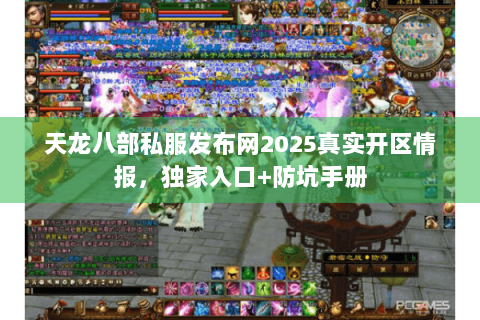 天龙八部私服发布网2025真实开区情报，独家入口+防坑手册