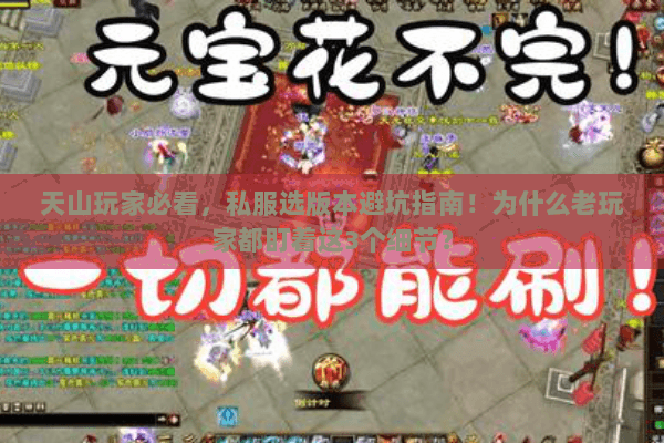 天山玩家必看，私服选版本避坑指南！为什么老玩家都盯着这3个细节？