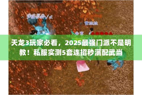 天龙3玩家必看，2025最强门派不是明教！私服实测5套连招秒满配武当