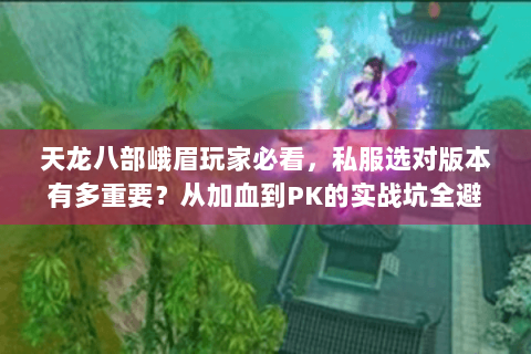 天龙八部峨眉玩家必看，私服选对版本有多重要？从加血到PK的实战坑全避了