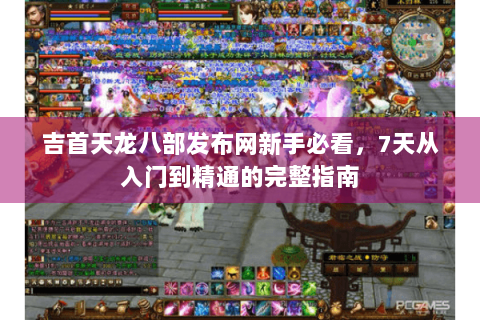 吉首天龙八部发布网新手必看，7天从入门到精通的完整指南