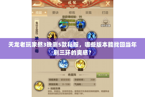 天龙老玩家熬3晚测5款私服，哪些版本能找回当年刷三环的爽感？