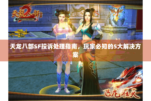 天龙八部SF投诉处理指南，玩家必知的5大解决方案