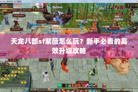 天龙八部sf紫薇怎么玩？新手必看的高效升级攻略