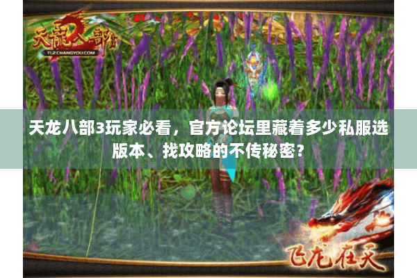 天龙八部3玩家必看,官方论坛里藏着多少私服选版本、找攻略的不传秘密? 天龙八部3玩家必看,官方论坛里藏着多少私服选版本、找攻略的不传秘密?