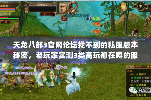 天龙八部3官网论坛找不到的私服版本秘密，老玩家实测3类高玩都在蹲的服