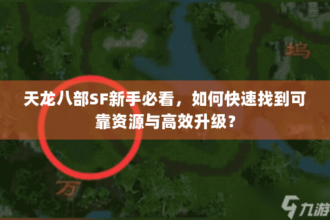 天龙八部SF新手必看，如何快速找到可靠资源与高效升级？