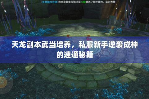 天龙副本武当培养，私服新手逆袭成神的速通秘籍