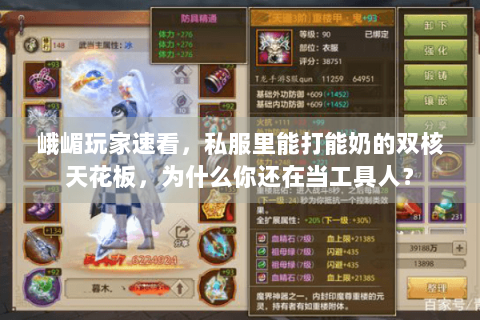 峨嵋玩家速看，私服里能打能奶的双核天花板，为什么你还在当工具人？