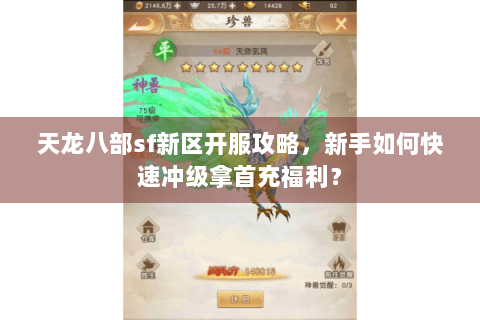 天龙八部sf新区开服攻略,新手如何快速冲级拿首充福利? 天龙八部sf新区开服攻略,新手如何快速冲级拿首充福利?