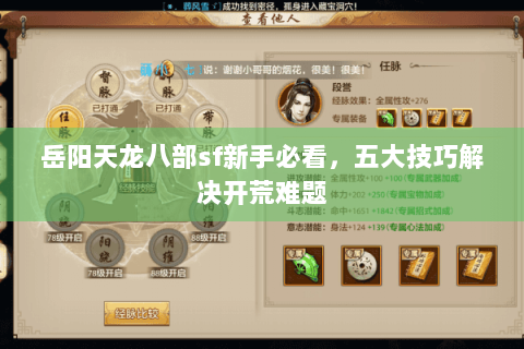 岳阳天龙八部sf新手必看，五大技巧解决开荒难题