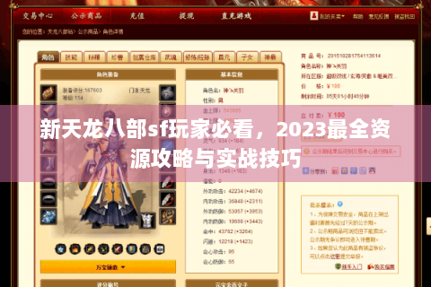 新天龙八部sf玩家必看，2023最全资源攻略与实战技巧