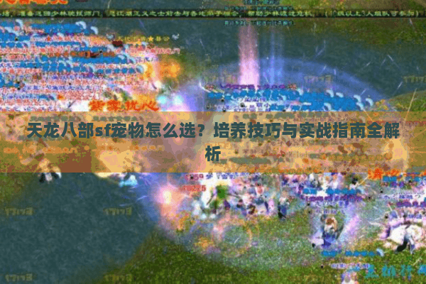 天龙八部sf宠物怎么选？培养技巧与实战指南全解析