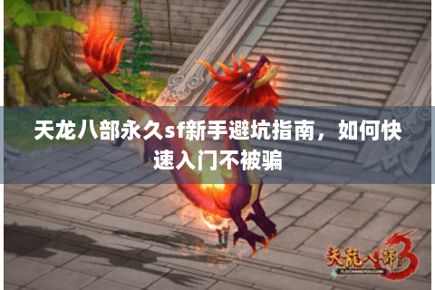 天龙八部永久sf新手避坑指南，如何快速入门不被骗