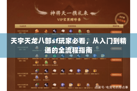 天宇天龙八部sf玩家必看,从入门到精通的全流程指南 天宇天龙八部sf玩家必看,从入门到精通的全流程指南