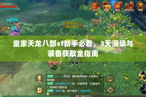 皇家天龙八部sf新手必看,3天满级与装备获取全指南 皇家天龙八部sf新手必看,3天满级与装备获取全指南