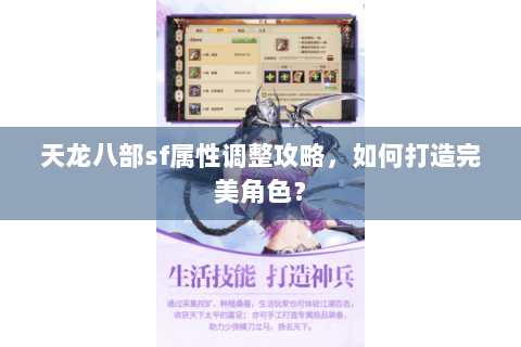 天龙八部sf属性调整攻略，如何打造完美角色？