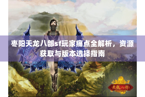 枣阳天龙八部sf玩家痛点全解析，资源获取与版本选择指南