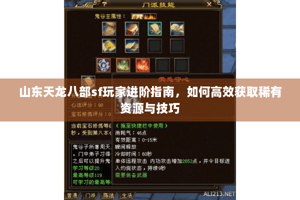 山东天龙八部sf玩家进阶指南，如何高效获取稀有资源与技巧