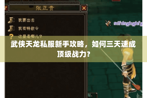 武侠天龙私服新手攻略,如何三天速成顶级战力? 武侠天龙私服新手攻略,如何三天速成顶级战力?