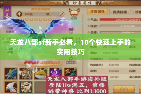 天龙八部sf新手必看，10个快速上手的实用技巧