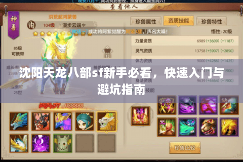 沈阳天龙八部sf新手必看,快速入门与避坑指南 沈阳天龙八部sf新手必看,快速入门与避坑指南