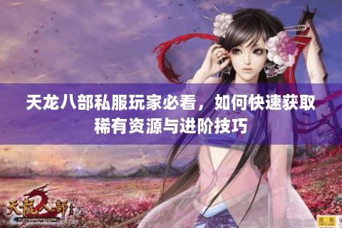 天龙八部私服玩家必看，如何快速获取稀有资源与进阶技巧