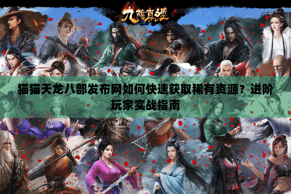 猫猫天龙八部发布网如何快速获取稀有资源?进阶玩家实战指南 猫猫天龙八部发布网如何快速获取稀有资源?进阶玩家实战指南