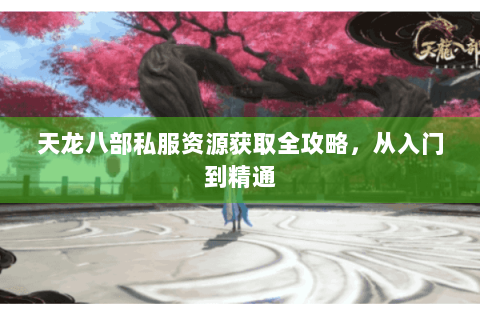 天龙八部私服资源获取全攻略，从入门到精通