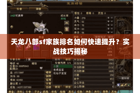 天龙八部sf家族排名如何快速提升?实战技巧揭秘 天龙八部sf家族排名如何快速提升?实战技巧揭秘