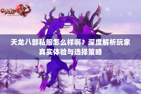 天龙八部私服怎么样啊？深度解析玩家真实体验与选择策略