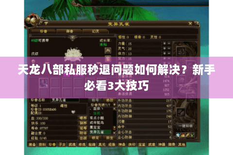 天龙八部私服秒退问题如何解决?新手必看3大技巧 天龙八部私服秒退问题如何解决?新手必看3大技巧