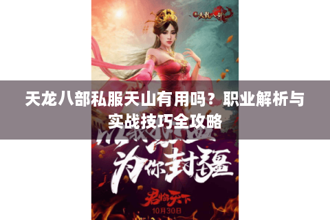 天龙八部私服天山有用吗？职业解析与实战技巧全攻略