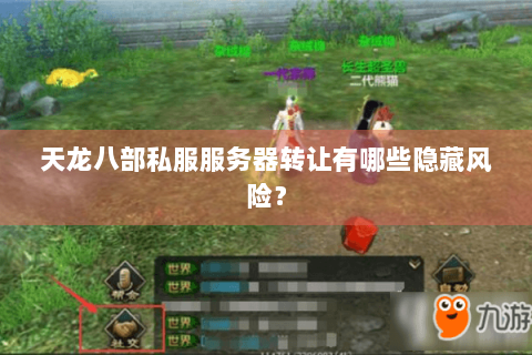 天龙八部私服服务器转让有哪些隐藏风险？