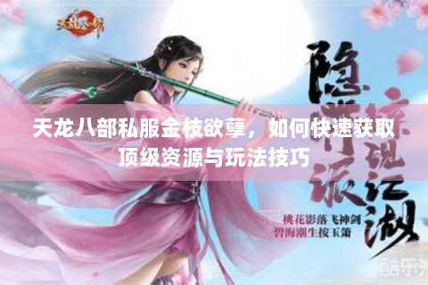 天龙八部私服金枝欲孽，如何快速获取顶级资源与玩法技巧