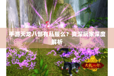手游天龙八部有私服么?资深玩家深度解析 手游天龙八部有私服么?资深玩家深度解析