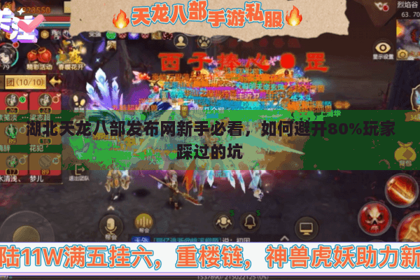湖北天龙八部发布网新手必看，如何避开80%玩家踩过的坑