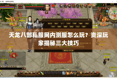 天龙八部私服网内测服怎么玩?资深玩家揭秘三大技巧 天龙八部私服网内测服怎么玩?资深玩家揭秘三大技巧