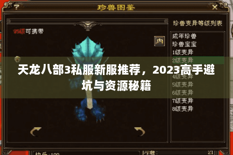 天龙八部3私服新服推荐,2023高手避坑与资源秘籍 天龙八部3私服新服推荐,2023高手避坑与资源秘籍