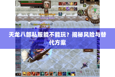 天龙八部私服能不能玩？揭秘风险与替代方案
