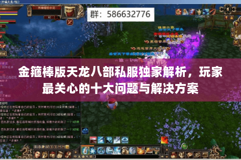 金箍棒版天龙八部私服独家解析,玩家最关心的十大问题与解决方案 金箍棒版天龙八部私服独家解析,玩家最关心的十大问题与解决方案