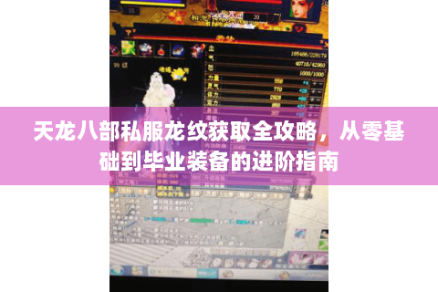 天龙八部私服龙纹获取全攻略,从零基础到毕业装备的进阶指南 天龙八部私服龙纹获取全攻略,从零基础到毕业装备的进阶指南