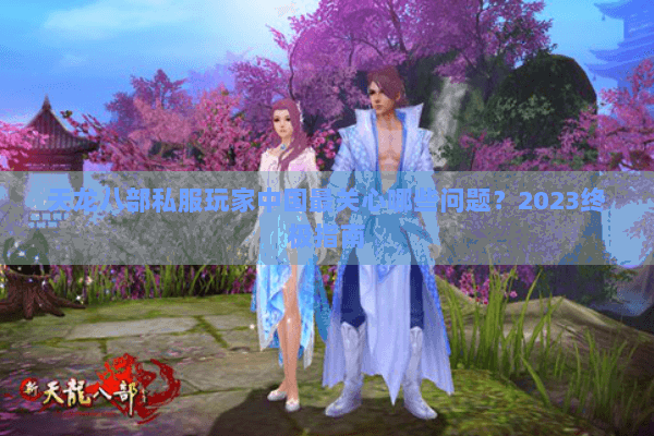 天龙八部私服玩家中国最关心哪些问题？2023终极指南