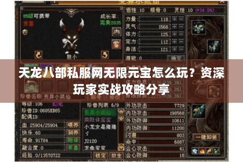 天龙八部私服网无限元宝怎么玩?资深玩家实战攻略分享 天龙八部私服网无限元宝怎么玩?资深玩家实战攻略分享