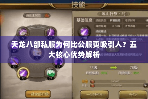 天龙八部私服为何比公服更吸引人?五大核心优势解析 天龙八部私服为何比公服更吸引人?五大核心优势解析