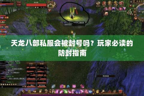 天龙八部私服会被封号吗？玩家必读的防封指南